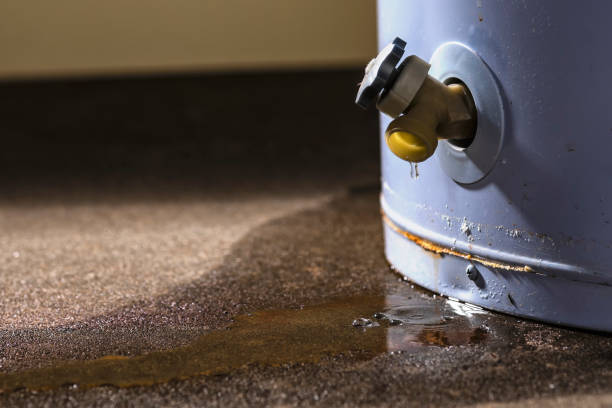 Best Local water damage restoration  in Glenwood, AR