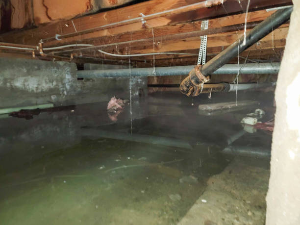, AR Water damage restoration Company
