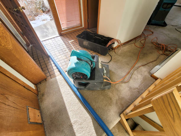 Best 24/7 water damage repair  in Glenwood, AR