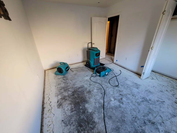 Best Mold removal after water damage  in Glenwood, AR