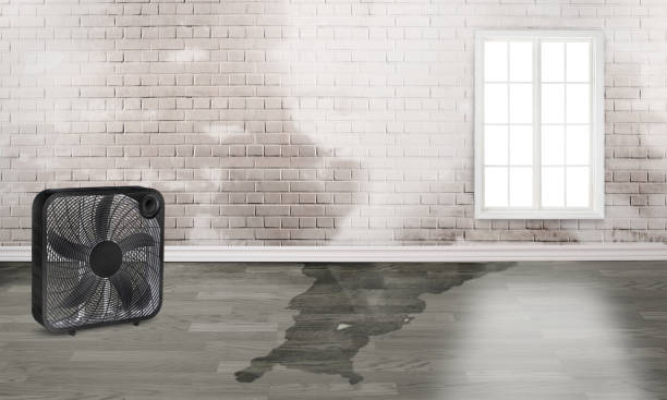 Best Emergency water damage restoration  in Glenwood, AR