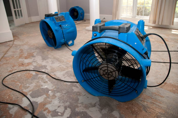 Best Ceiling water damage repair  in Glenwood, AR