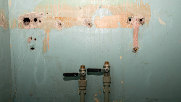 Best Water damage cleanup near me  in Glenwood, AR