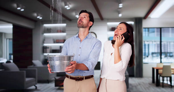 Best Fire Damage Restoration  in Glenwood, AR